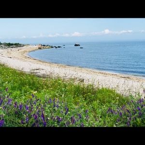 Meet your Posher, Tom